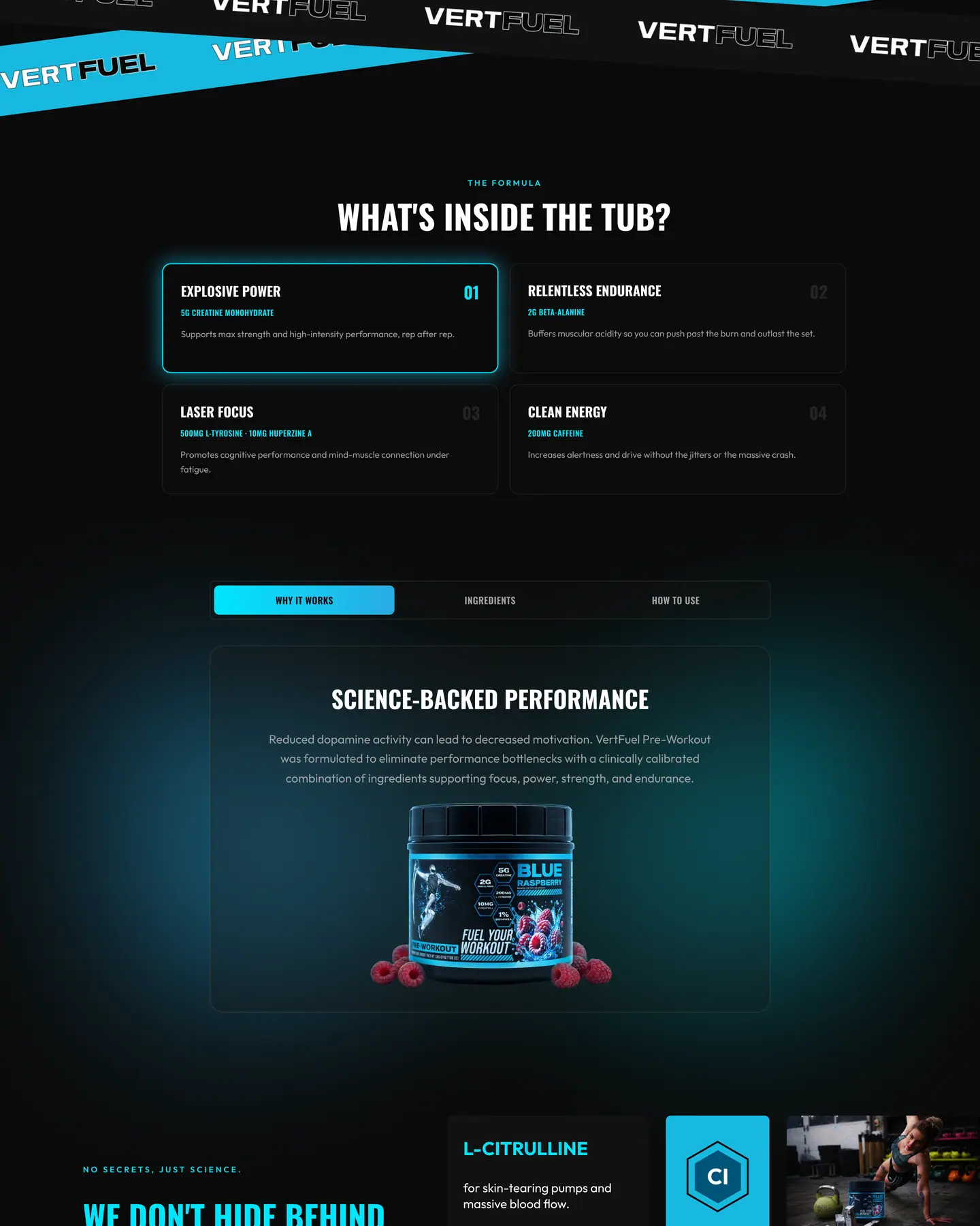 Vertfuel home page, part 2